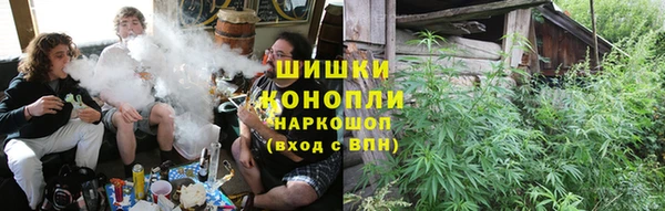 молекула духа Елизово
