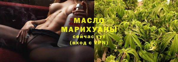молекула духа Елизово