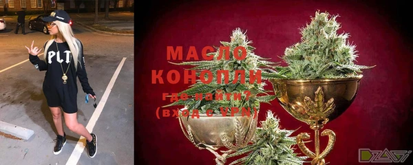 молекула духа Елизово