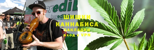 трава Елабуга