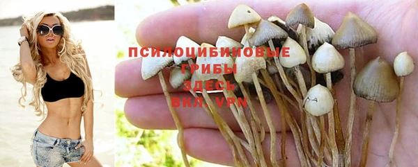трава Елабуга