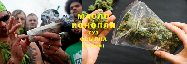 молекула духа Елизово
